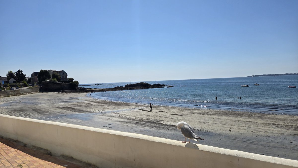 Home for the next few days,concarneau