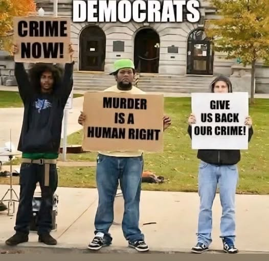 🇺🇸 Pecan 🇺🇸 tweet media