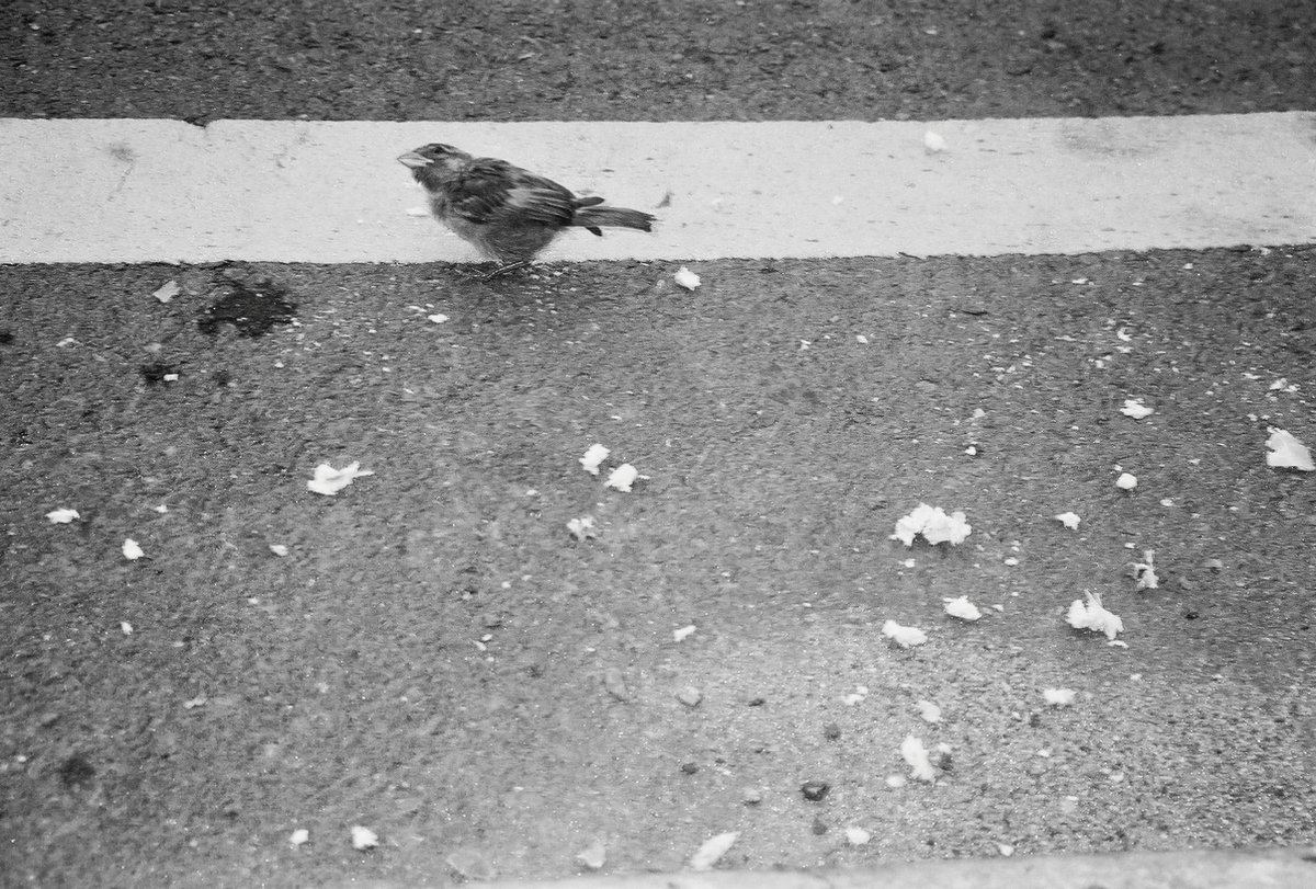 🟢🔪ĎØṄ ƁËŘŘŸ🔪🟢 (@ngpredeyes) on Twitter photo Need to shoot more black and white Need to shoot more black and white