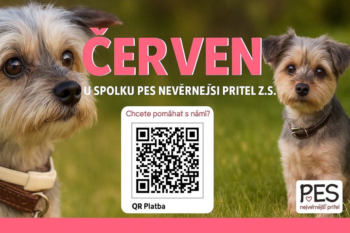 Červen u spolku Pes nejvěrnější přítel z. s. 🐾

Přijali jsme 3 nové pejsky – Elinku, Goliáše a Sally. 
Radost nám udělalo 9 adopcí🏡
Smutek přinesl odchod Minnie a Quita 💔

Náklady dosáhly 208 000 Kč. Díky vám a vašim darům to zvládáme 🙏.

#utulek #pnp