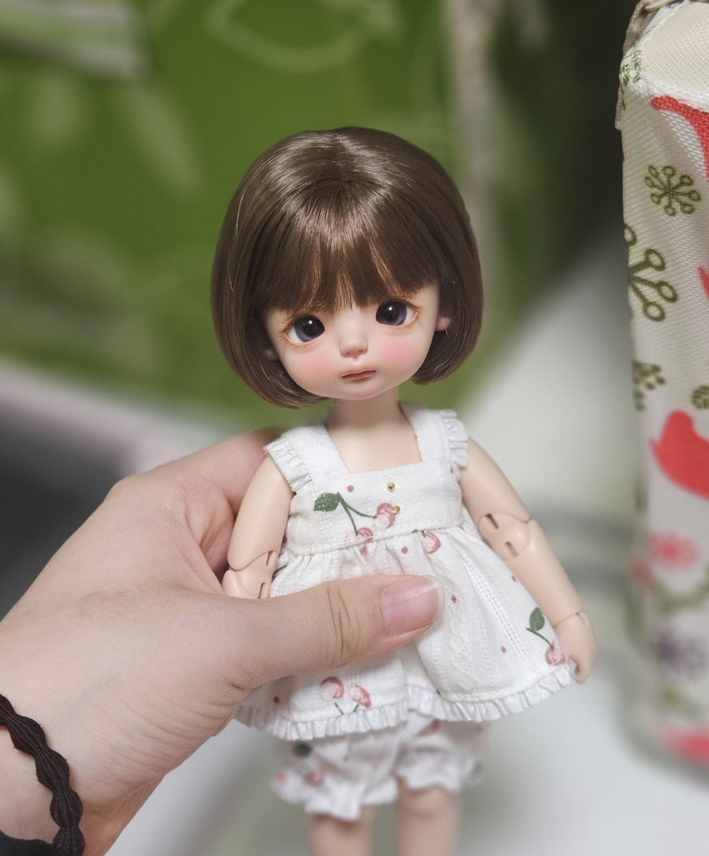 하치 (@hachh__) on Twitter photo 