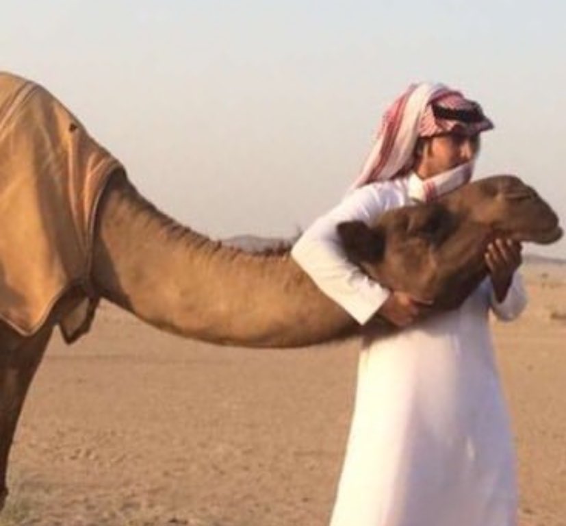 almltaaa_511's tweet photo. والله ان رجلي من العام دوّاجه
في مرابي نجد و أطيب مفاليها 

كل ما حصّلت شرهه وزعّاجه 
ما يريّح خاطري كان ما اشريها 

مسبلٍ يمناً من الطيب هدّاجه
في سبيل ام الجنايب وحاشيها 

وماخذٍ في نجد سجه ودولاجه
اكثر الارقام ما اشوف اساميها 

— سلطان الحويقل وزعّاجه https://t.co/iaOGS3U22W