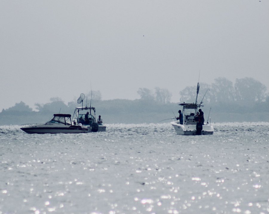 MariaRu33675557's tweet image. 🌞 #summerfun #beachday make it last … #MondayMorning 

#MondayMusings 🛶🚣‍♂️ 

@kevincorke @Spike19621 @aTeXan575 @FrankKane11 @FrankieRusso1 @hodgetwins @ScottBaio @rustyrockets