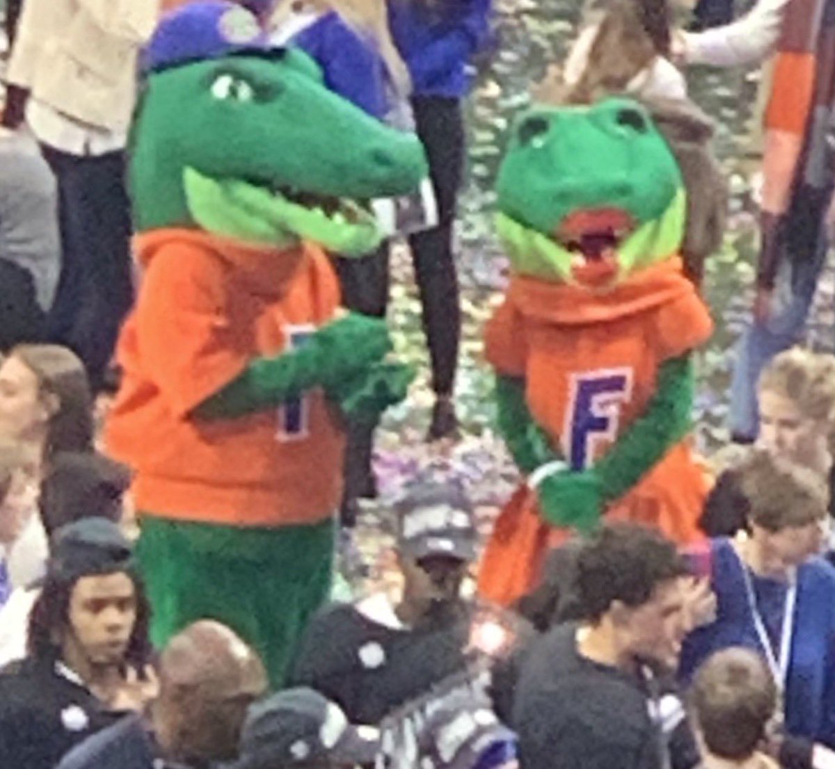 alpharhoprez's tweet photo. @GatorsFB @FloridaGators https://t.co/BD00G5Hrmn