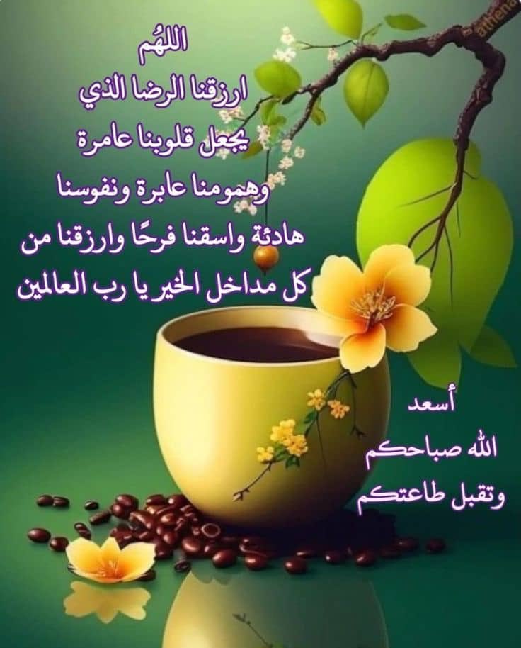 حسين بن ناصر الطاهري (@albattar1430) on Twitter photo 