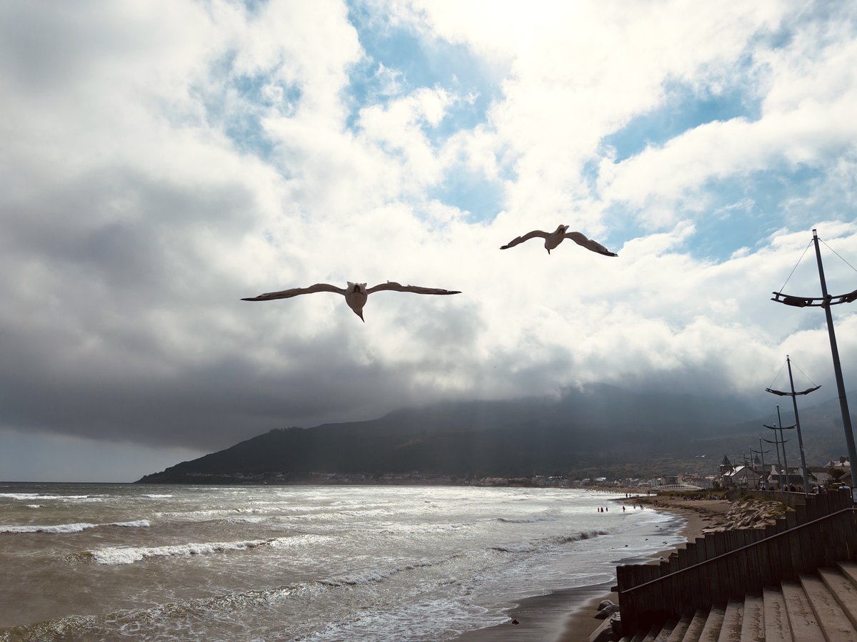 めっちゃ気持ちいい (ハイパー風が強い) (@ Newcastle Promenade) app.foursquare.com/share/checkin/…