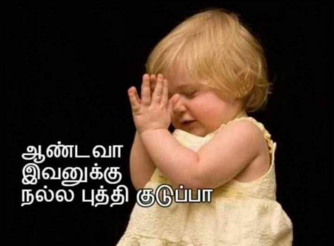 தற்குறி பனையூரான் tweet media