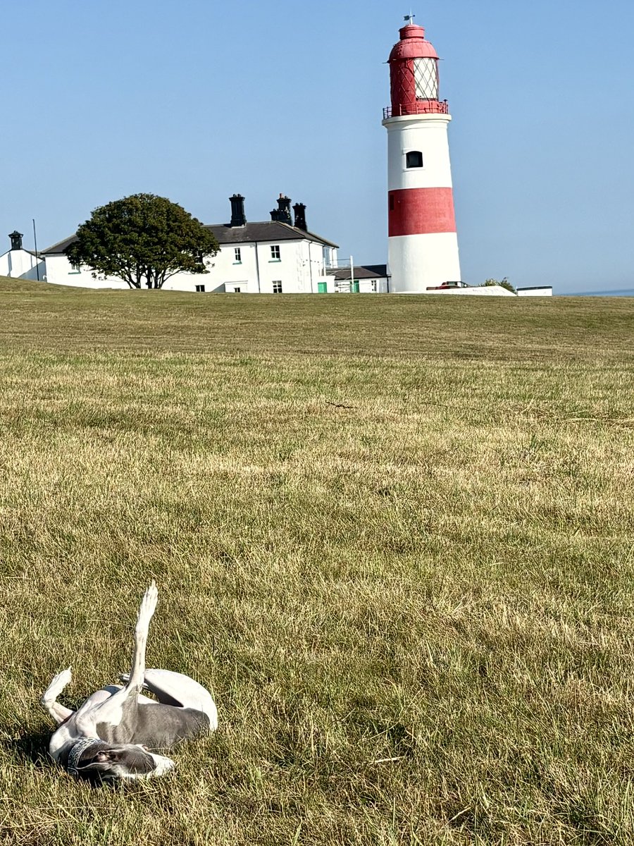 Miss Underscore tweet media