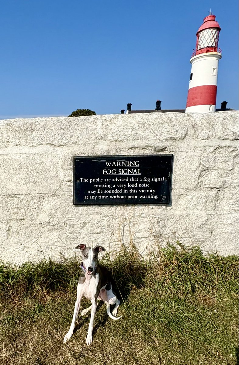 Miss Underscore tweet media