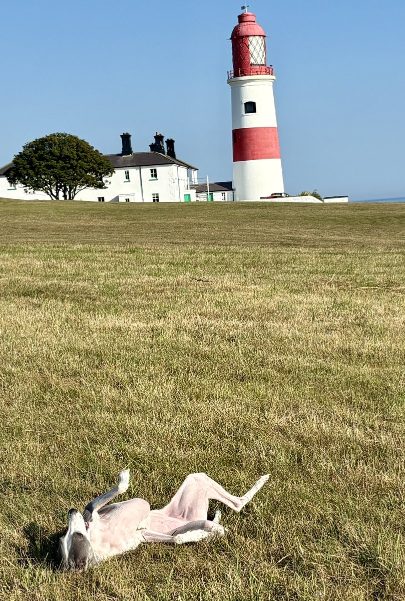 Miss Underscore tweet media