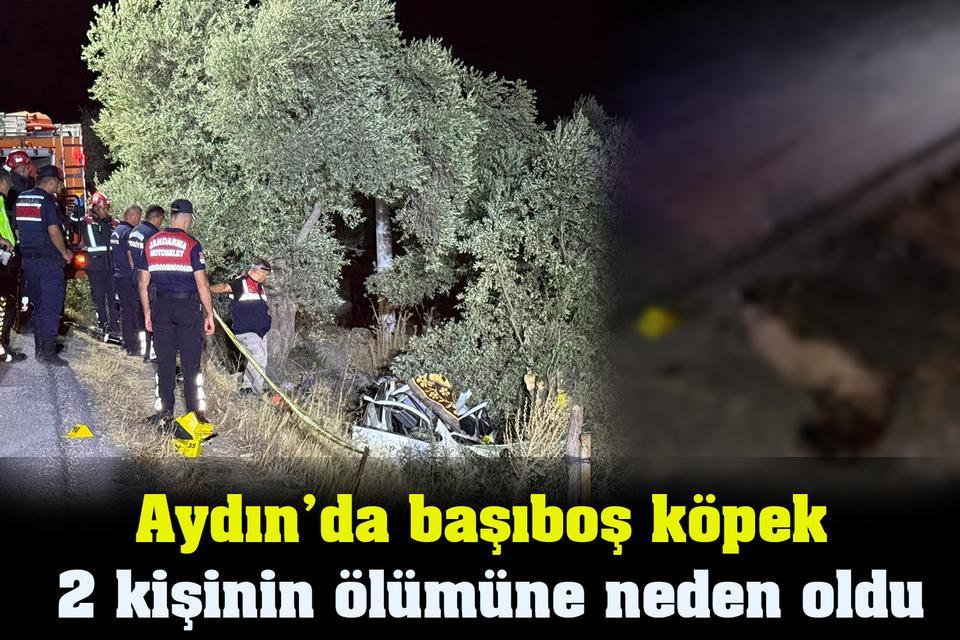 🚨#SONDAKİKA | BAŞIBOŞ KÖPEK TERÖRÜ YİNE CAN ALDI.

Aydın-Muğla Karayolu üzerinde aracıyla seyir halindeki Melek Özdağlar, yola aniden çıkan başıboş köpeğe çarparak kaza yaptı. Direksiyon hakimiyetini kaybeden sürücü zeytinlik bahçesine uçtu.

Yaşanan kazada sürücü Melek Özdağlar