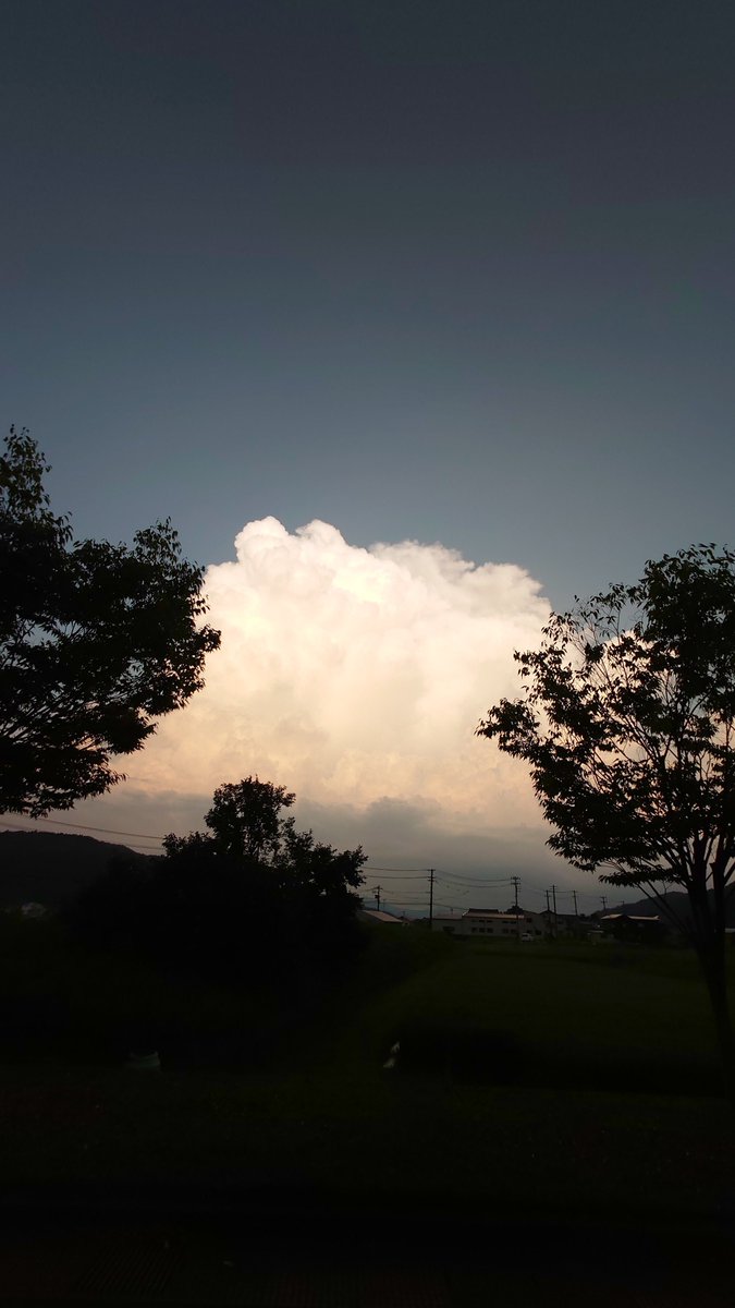 暑いけど
入道雲は好き
( ´∀｀)ｷﾚｲ