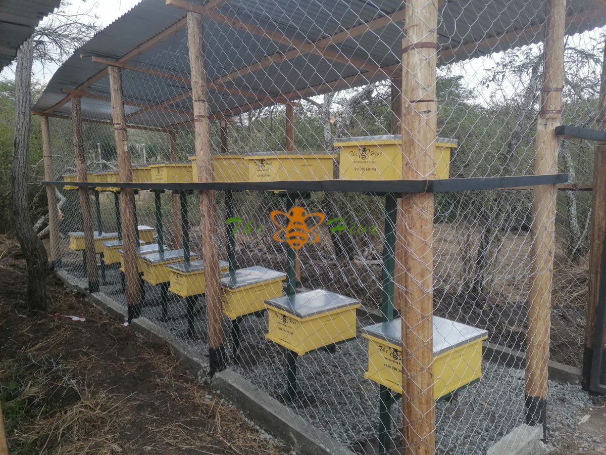 TheHiveLimited's tweet image. Successful #delivery &amp;amp; #installation of 20 #Langstroth hives in #Maanzoni.

Take advantage of the #Beekeeping Starter Kit #OFFER &amp;amp; turn your beekeeping dreams into reality.

For orders &amp;amp; inquiries, visit any of our branches near you
📞+254 706 349 748
✉️beekeepers@thehive.co.ke