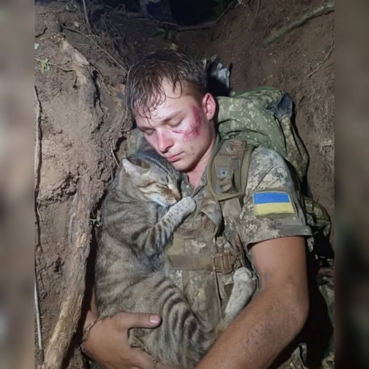 francoisedegois's tweet image. Quelle photo ! #Ukraine