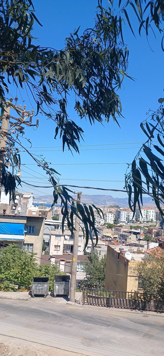 Merhabalar bugun izmirde görüşeceğim birileri varmı alet saglam