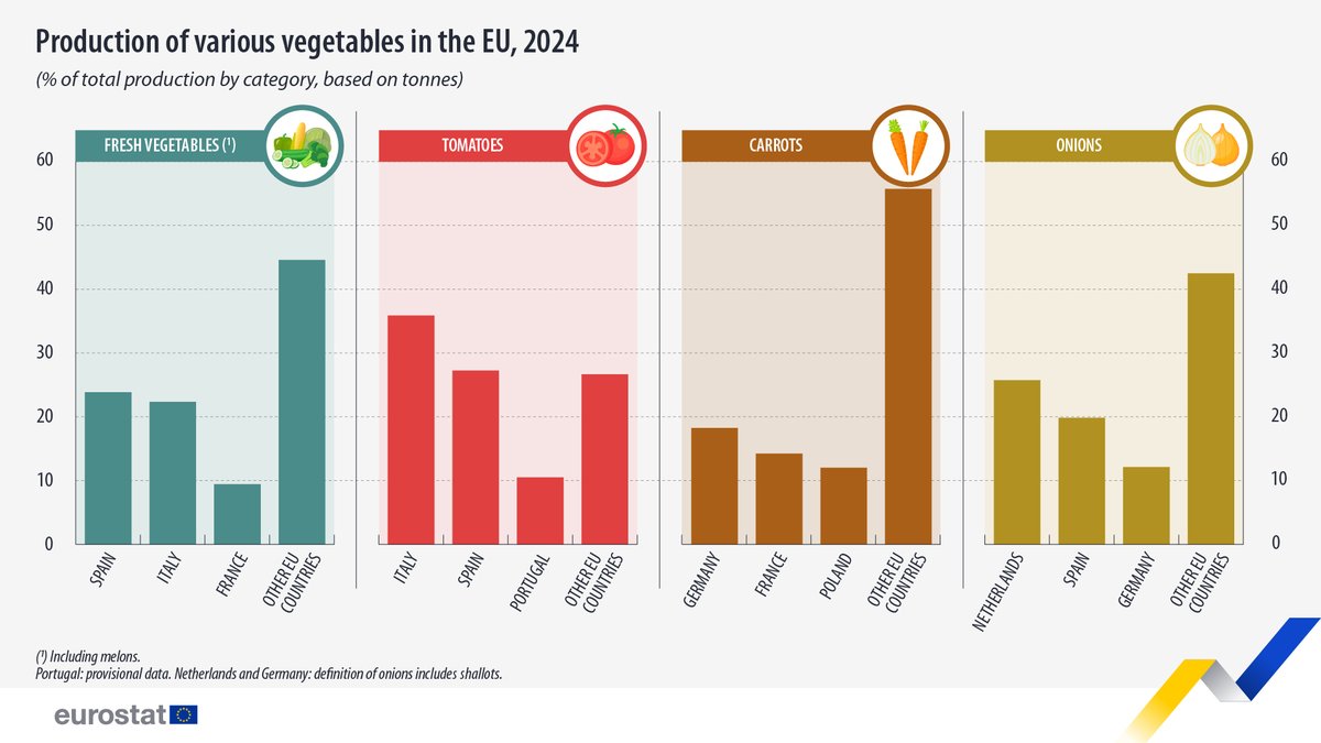 In 2024, 🇪🇸Spain was the leading producer of fresh vegetables (including melons), accounting for 24% of EU harvested production.🍎🌽

Top producers:
🍅Tomatoes: 🇮🇹Italy (36% of the EU total)
🥕Carrots: 🇩🇪Germany (18%)
🧅Onions: 🇳🇱Netherlands (26%)

👉europa.eu/!PW3rb9