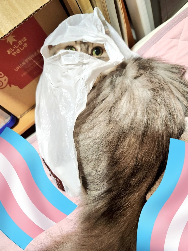 iizublem's tweet photo. 僧兵？ https://t.co/RzSNCxfh1m