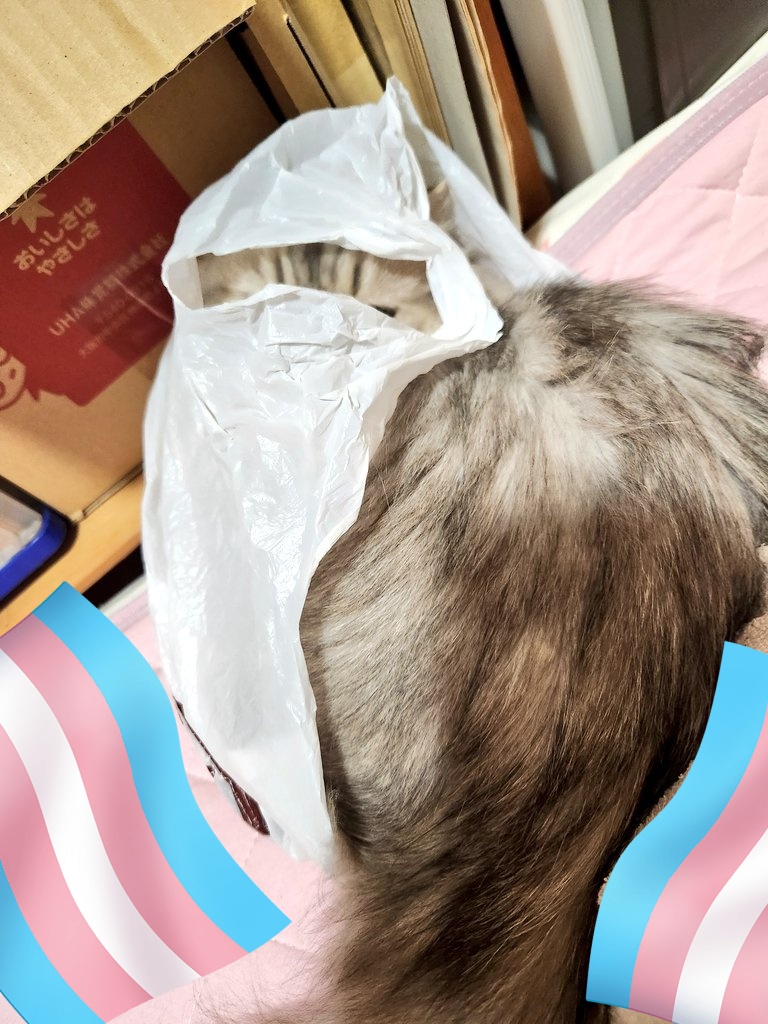 iizublem's tweet photo. 僧兵？ https://t.co/RzSNCxfh1m