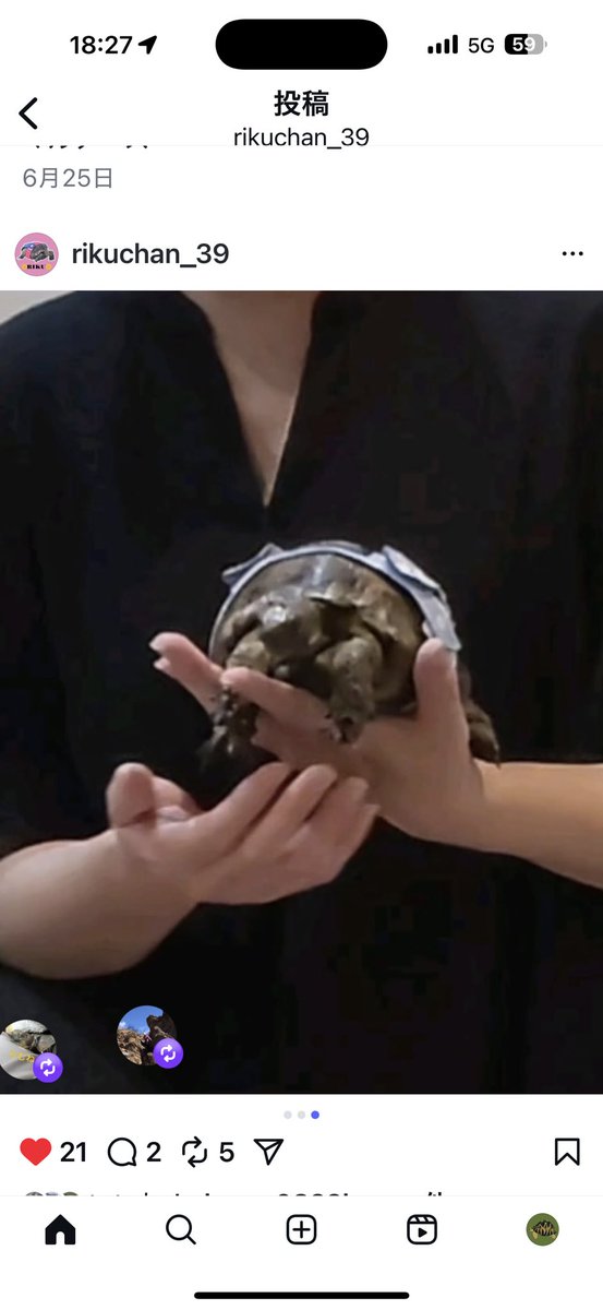 ◾️拡散希望◾️

インスタのフォロワー様の亀が脱走してしまい行方不明です。

皆様の力を貸して下さい。

場所は
福岡県糟屋郡久山町
久原総合運動公園前辺り
です。

よろしくお願いします。

instagram.com/p/DNxXGLrXqdb/…