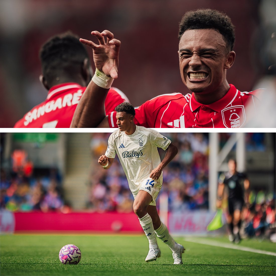 Nottingham Forest tweet media