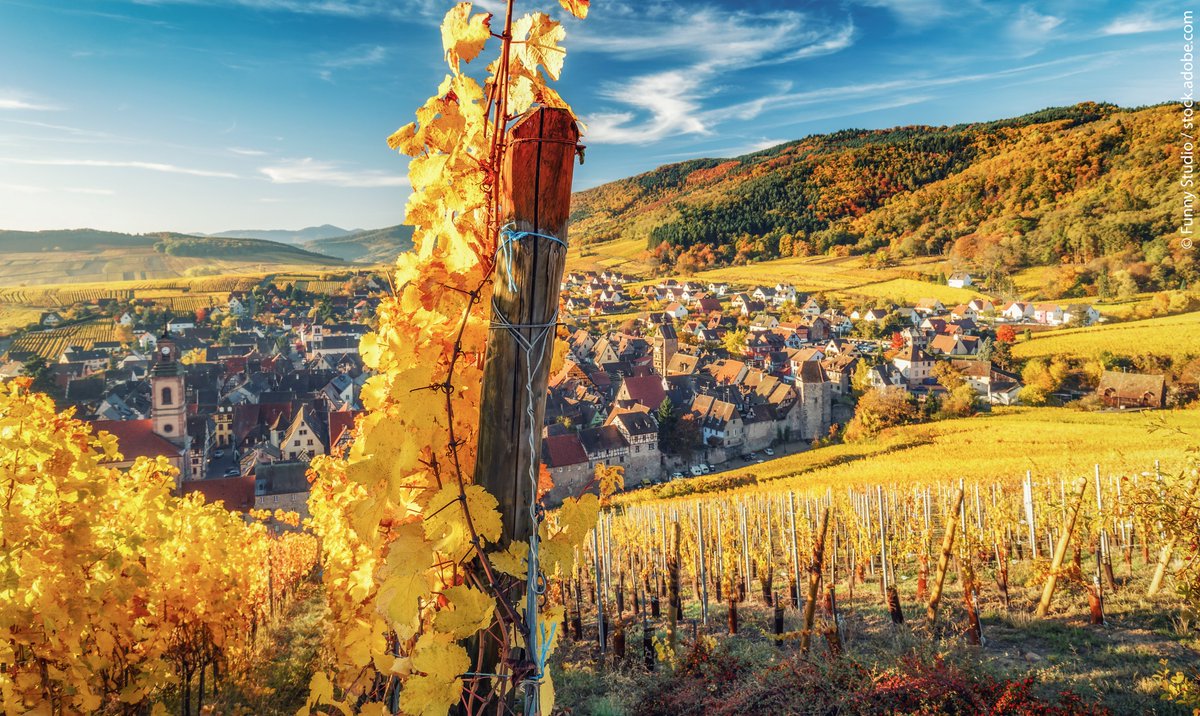 Paysages colorés et nouvelles escapades… C'est le 1er jour de l’automne en Alsace !! Ici à Riquewihr. bit.ly/automne-en-als… #Alsace #VisitAlsace