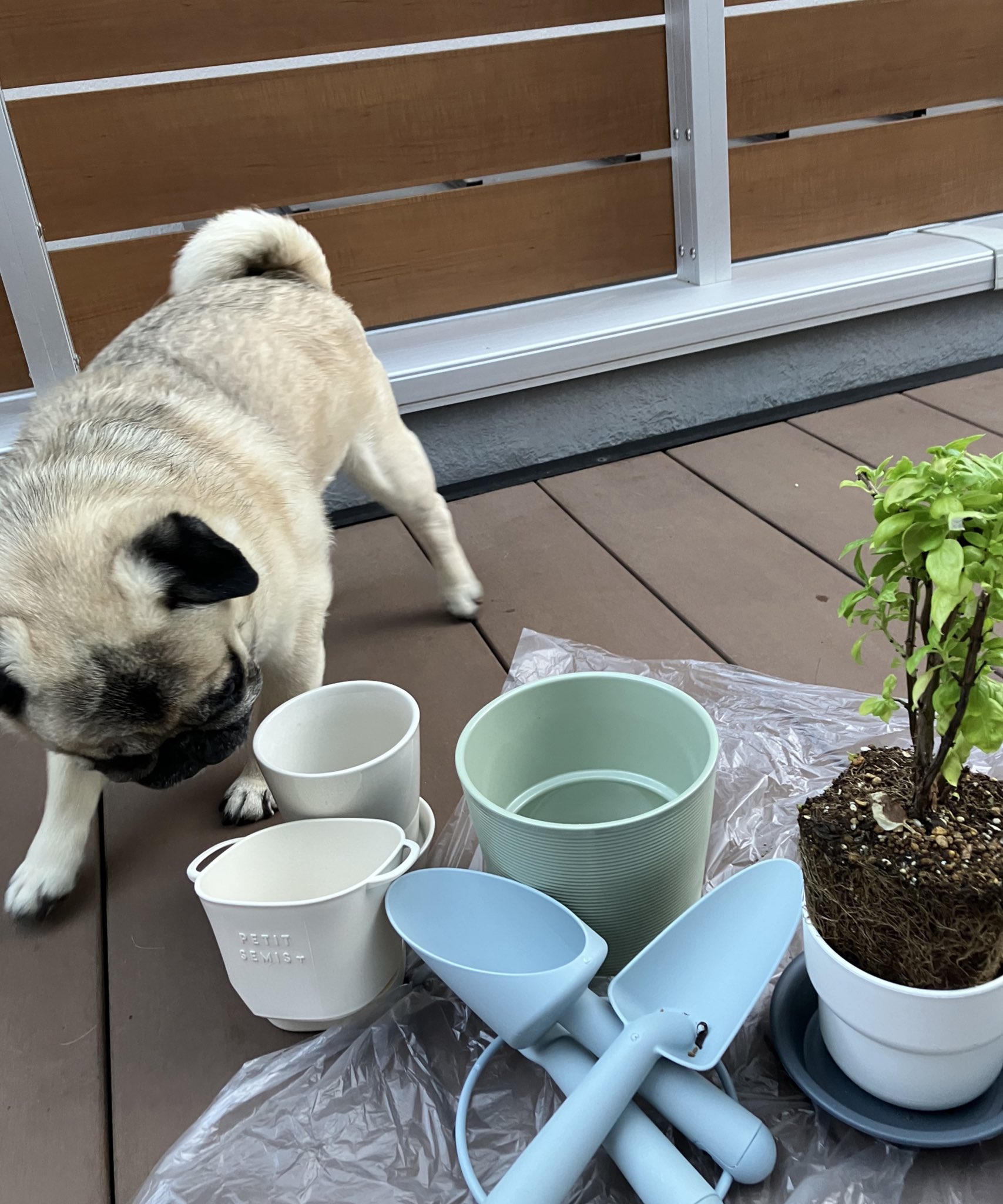 ブロックおパグさん(1点もの) ブロックおパグさん(1点もの) ブロックおパグさん(1点もの