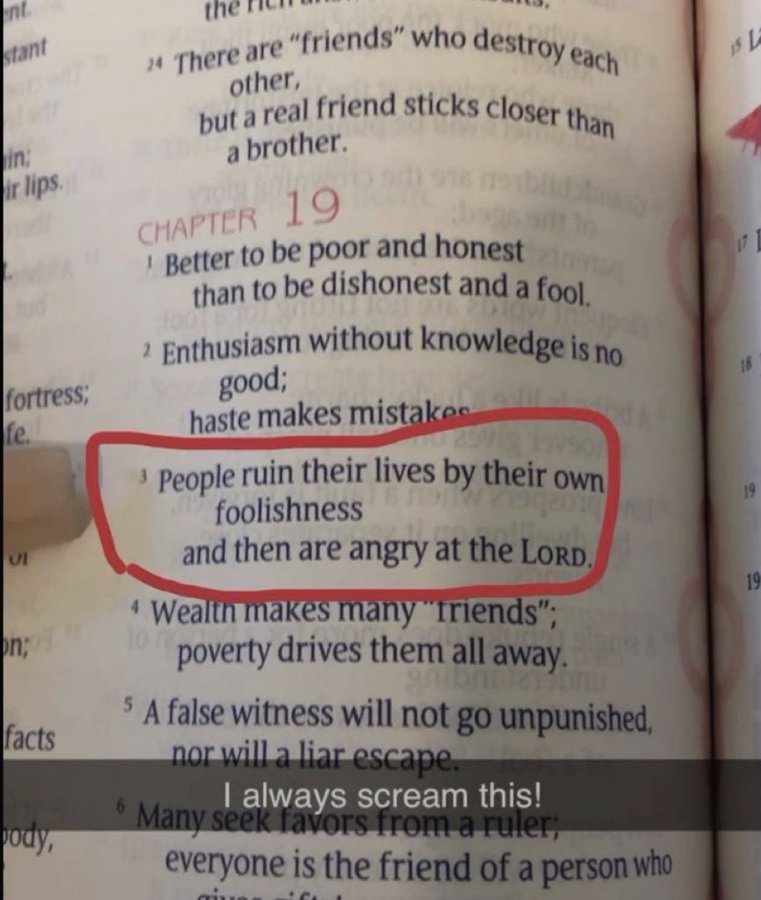 Bible 365 tweet media