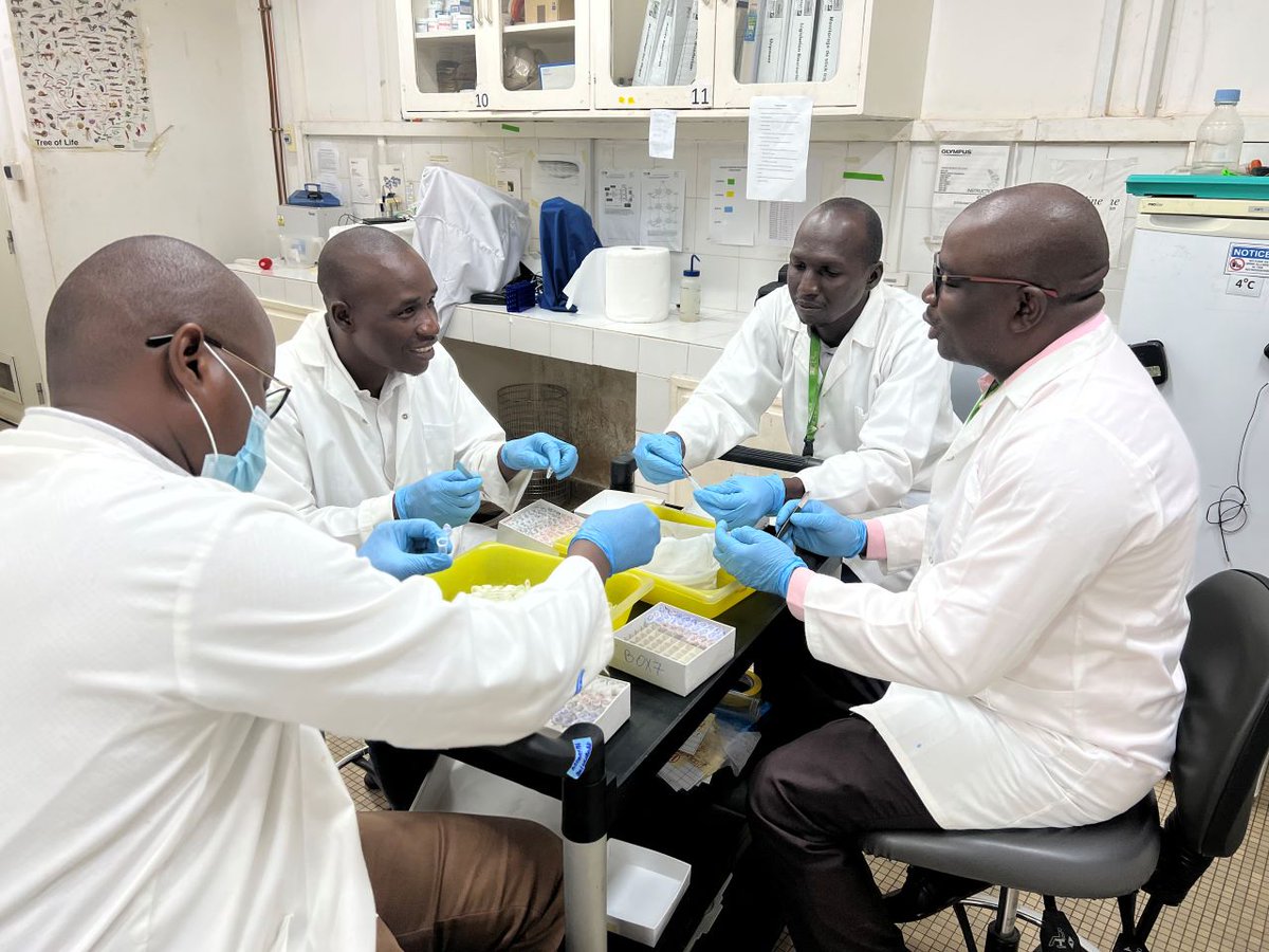 ACEME AFRICA tweet media