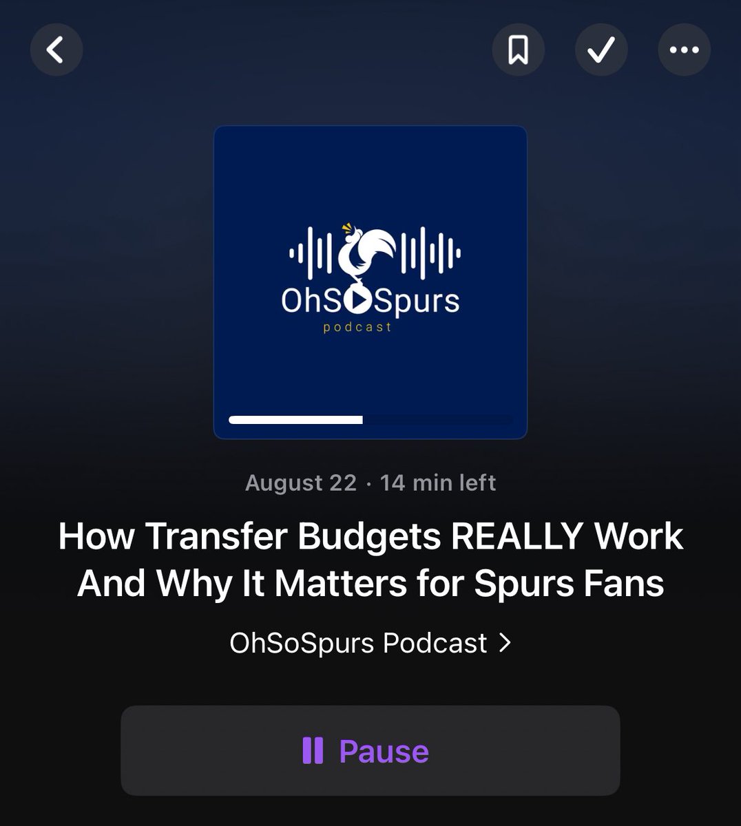 This transfer window has felt unusually frustrating but that doesn’t mean it can’t also be educational. I enjoyed this episode on ‘How Transfer Budgets Really Work’ from <a href="/OhSoSpurs/">OhSoSpurs</a>.