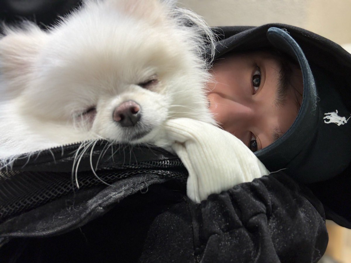 chanheehome's tweet image. MY CHANI WITH HIS PUPPY “DOMDU”😭🥹
