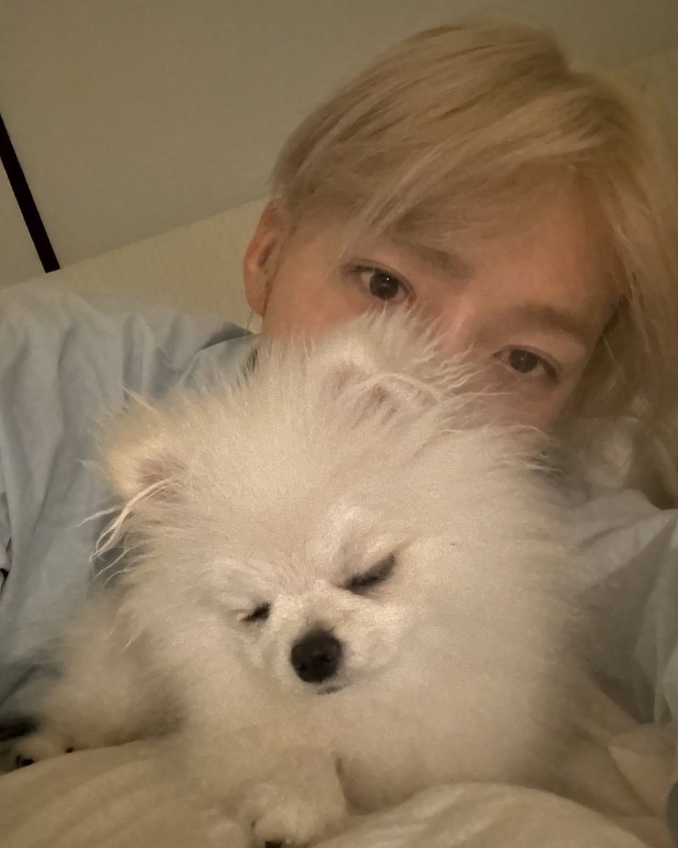 chanheehome's tweet image. MY CHANI WITH HIS PUPPY “DOMDU”😭🥹