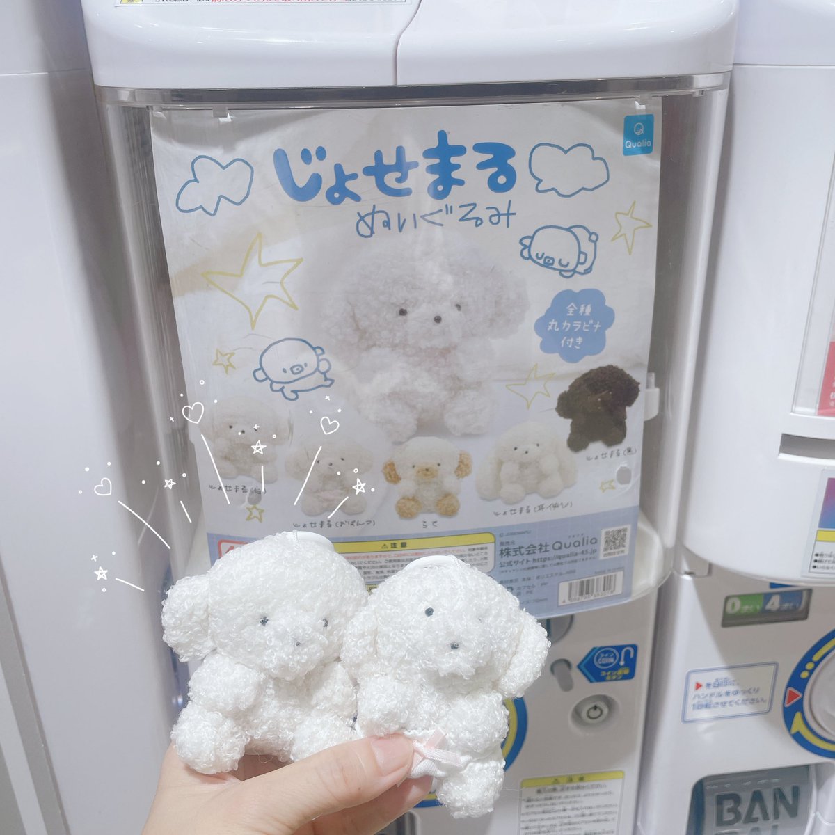 じょせまる - Cerca / X