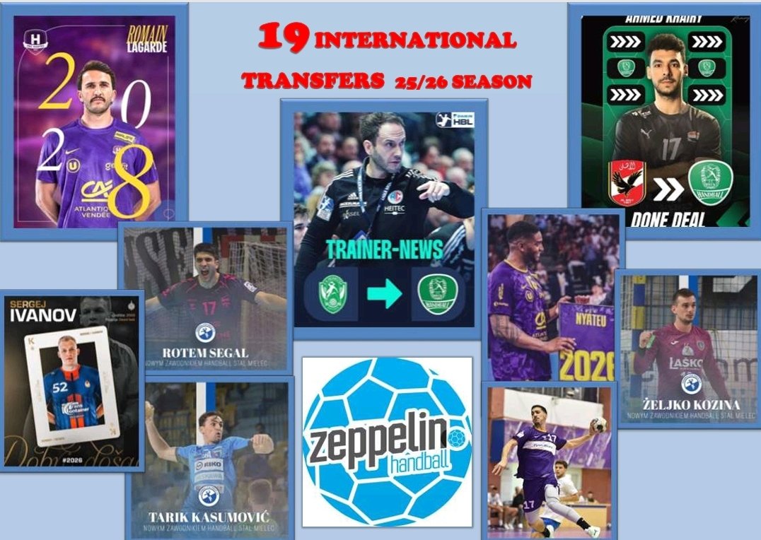ZEPPELIN HANDBALL MANAGEMENT tweet media