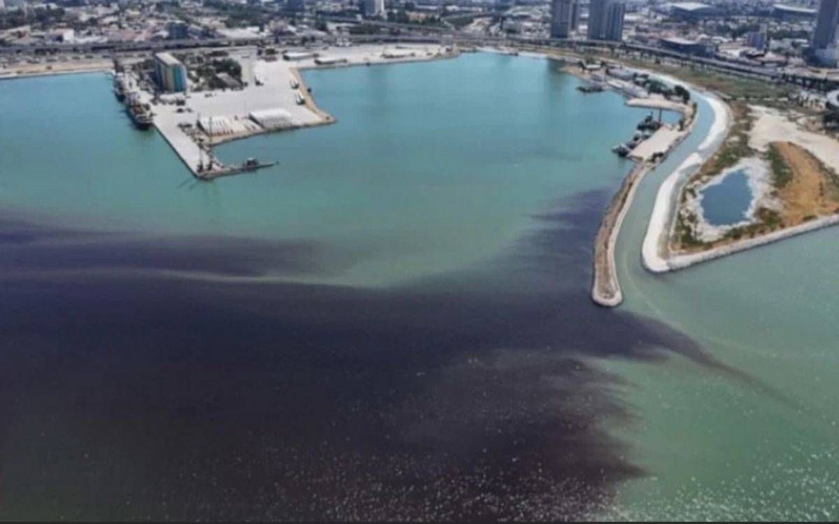 🔴 Marmara denizi manşette, İzmir Körfezi dipnotta

📌  İzmir Körfezi yalnızca Ege’nin değil, tüm Türkiye’nin gıda güvencesi ve güvenliği ile ekolojik sağlığı açısından stratejik bir deniz alanı. 

✍️ Bülent Şık yazdı

buff.ly/CtfqrQD