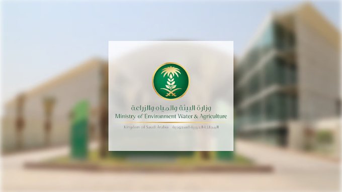 أطلقت وزارة البيئة والمياه والزراعة حملة معك دائمًا لدعم المزارعين في جميع مراحل الزراعة عبر التطبيق الذكي "مرشدك الزراعي" : التطبيق يُعد من أهم الأدوات الرقمية للإرشاد الزراعي، يتميز بالدقة، السرعة، والموثوقية في تقديم الاستشارات. يمثل "مرشدك الزراعي" مبادرة وطنية تسهم في رفع كفاءة القطاع الزراعي وتحقيق الاستدامة البيئية والغذائية. يتماشى مع أهداف رؤية السعودية 2030 نحو اقتصاد متنوع وقطاع زراعي متين. يوفر للمزارعين وأصحاب الحيازات إمكانية طرح استفسارات زراعية مباشرة. يتم الرد من قِبل مهندسين وخبراء متخصصين في كافة مجالات الزراعة، من إعداد الأرض حتى الحصاد 