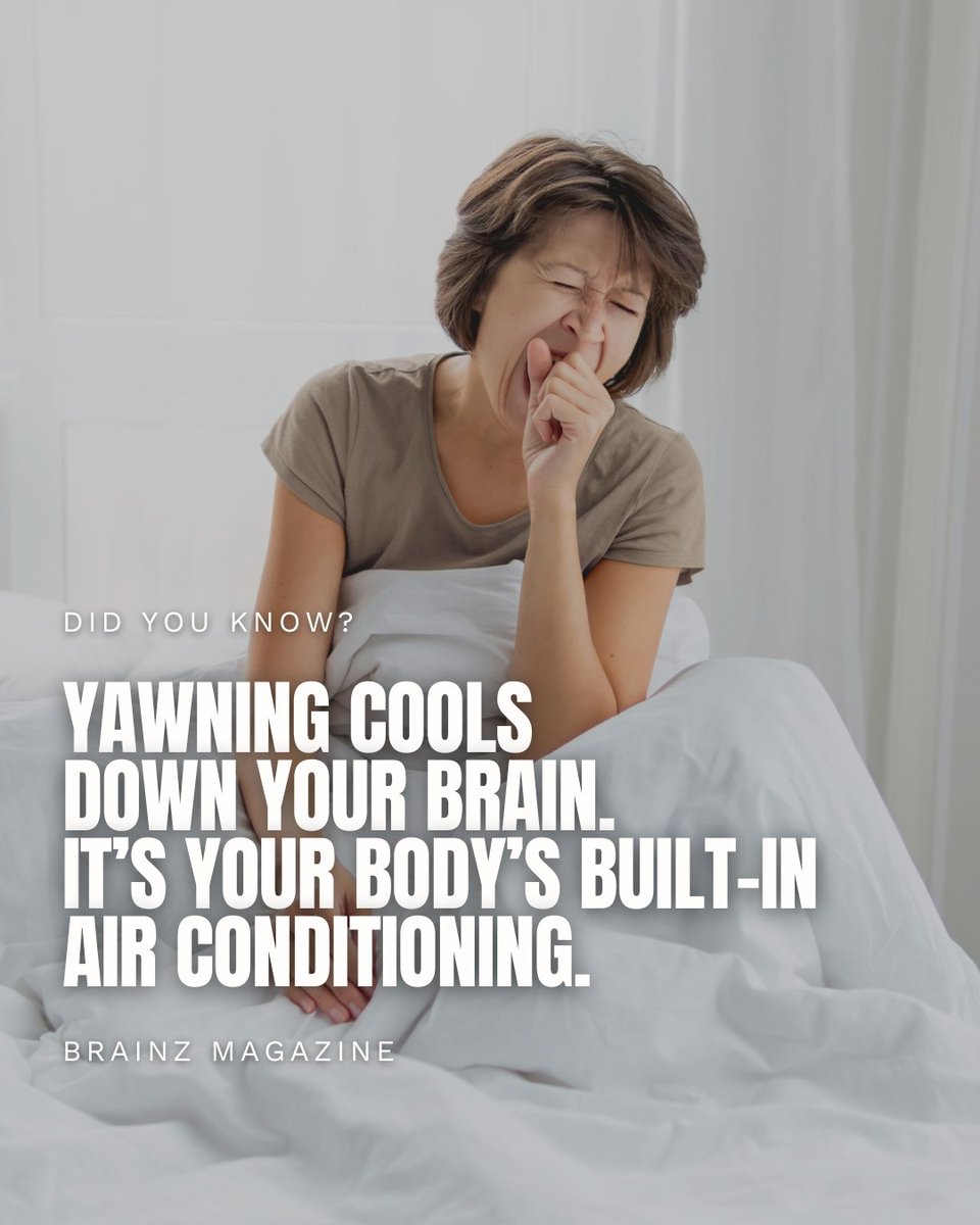 Brainz Magazine tweet media