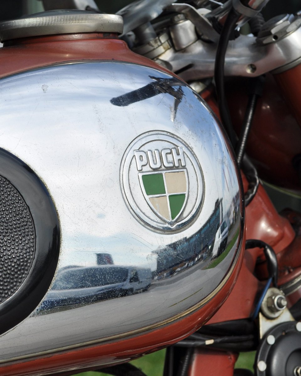 Museo Nicolis tweet media