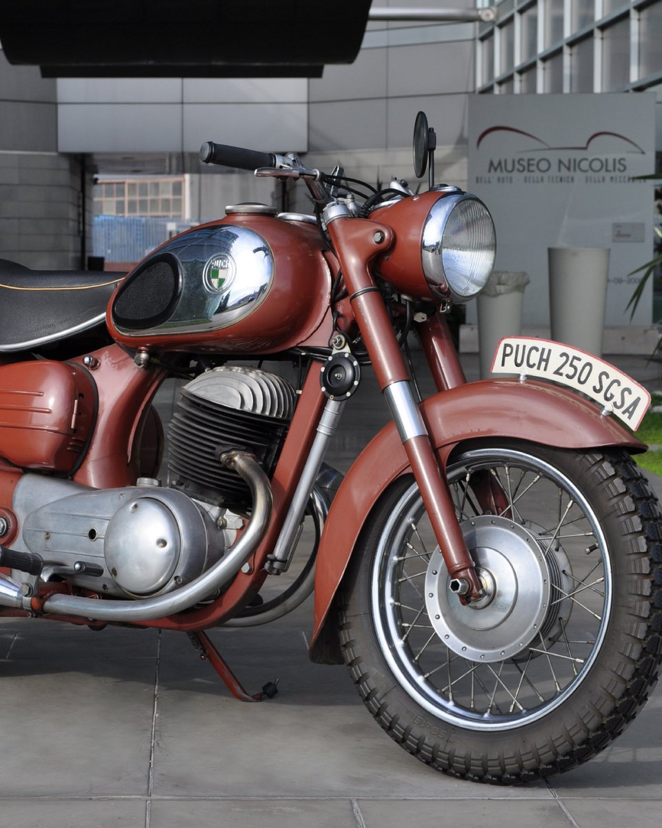 Museo Nicolis tweet media