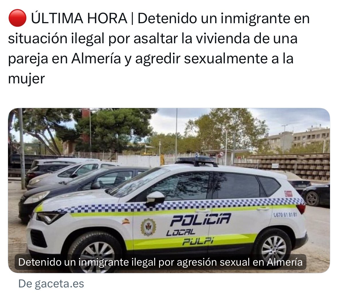 Detenido un inmigrante ilegal por asaltar una vivienda y agredir sexualmente a su propietaria