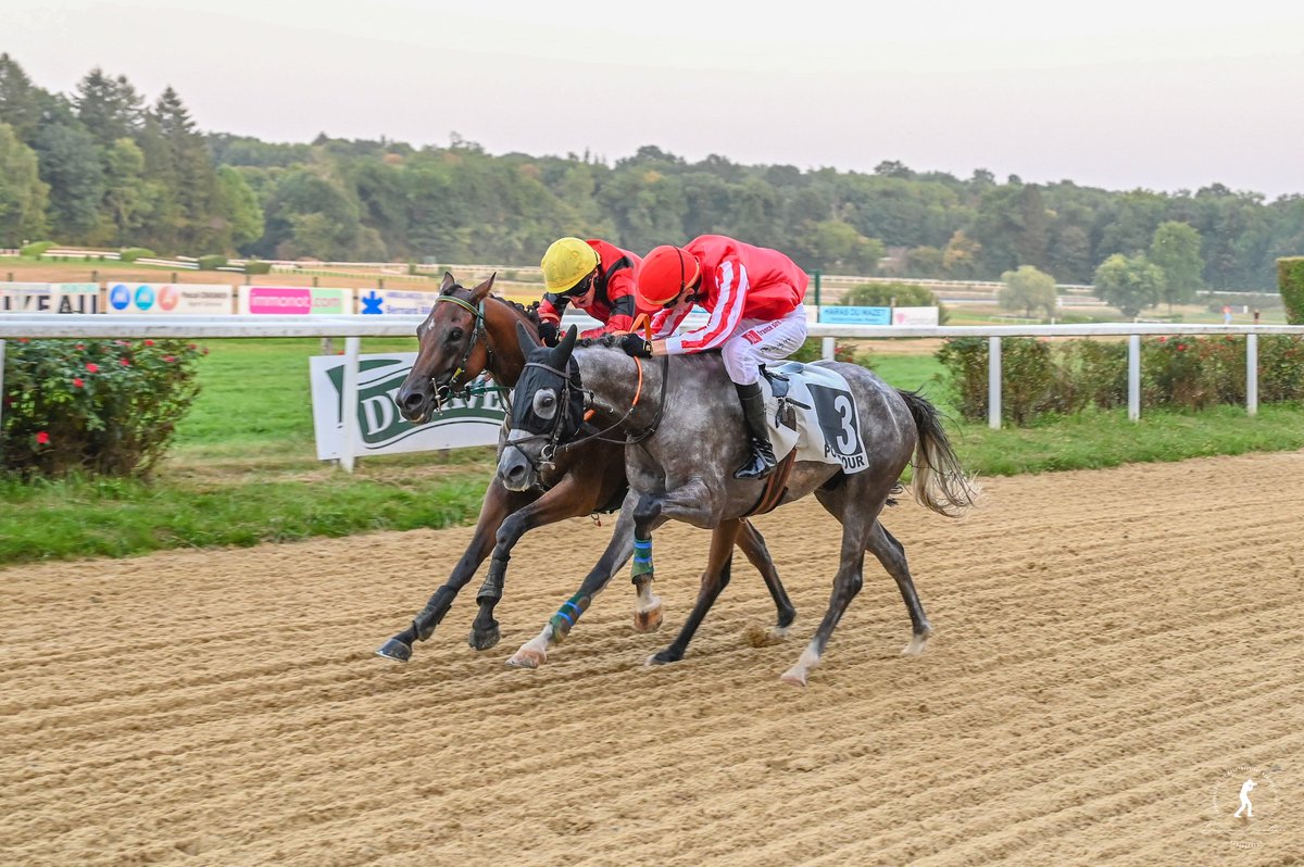 Championnats de France Cross sur l’hippodrome de Pompadour le 15 août. Félicitations à nos 3 champions de France Loris Beaurain, Pauline David et Timéo Caron 🏆

Prochaine étape au Lion d’Angers pour les championnats de France Haies le 20 septembre <a href="/FFEquitation/">Fédération Française d'Équitation</a> ✨#PoneysAuGalop