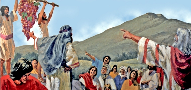 eads_emanoel's tweet photo. Números14||#PrimeiroDeus Yahweh resolve a situação decisivamente. Deus declara que o problema de Israel não é falta de poderio militar ou a força dos inimigos. O problema deles é o desprezo para com Deus, alimentado apesar de tudo o que o Senhor tem feito por eles. #rprp https://t.co/bveL60VPC9