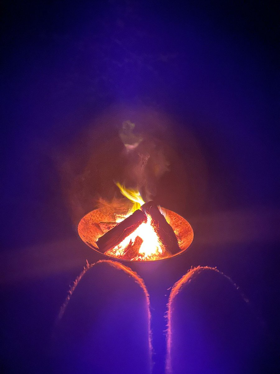 We had a visitor to the campfire 😬