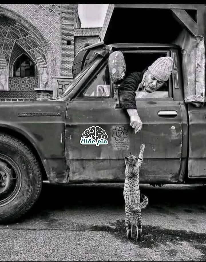 Apopahr11's tweet image. *لعل مايُنجيك في حياتك،* 
*هو تلك الخواطر التي جبرتها يوماً...* 

&amp;gt; أذا أعجبك المنشور حط ❤️#الاستغفار_فيه_تفريج_همومك