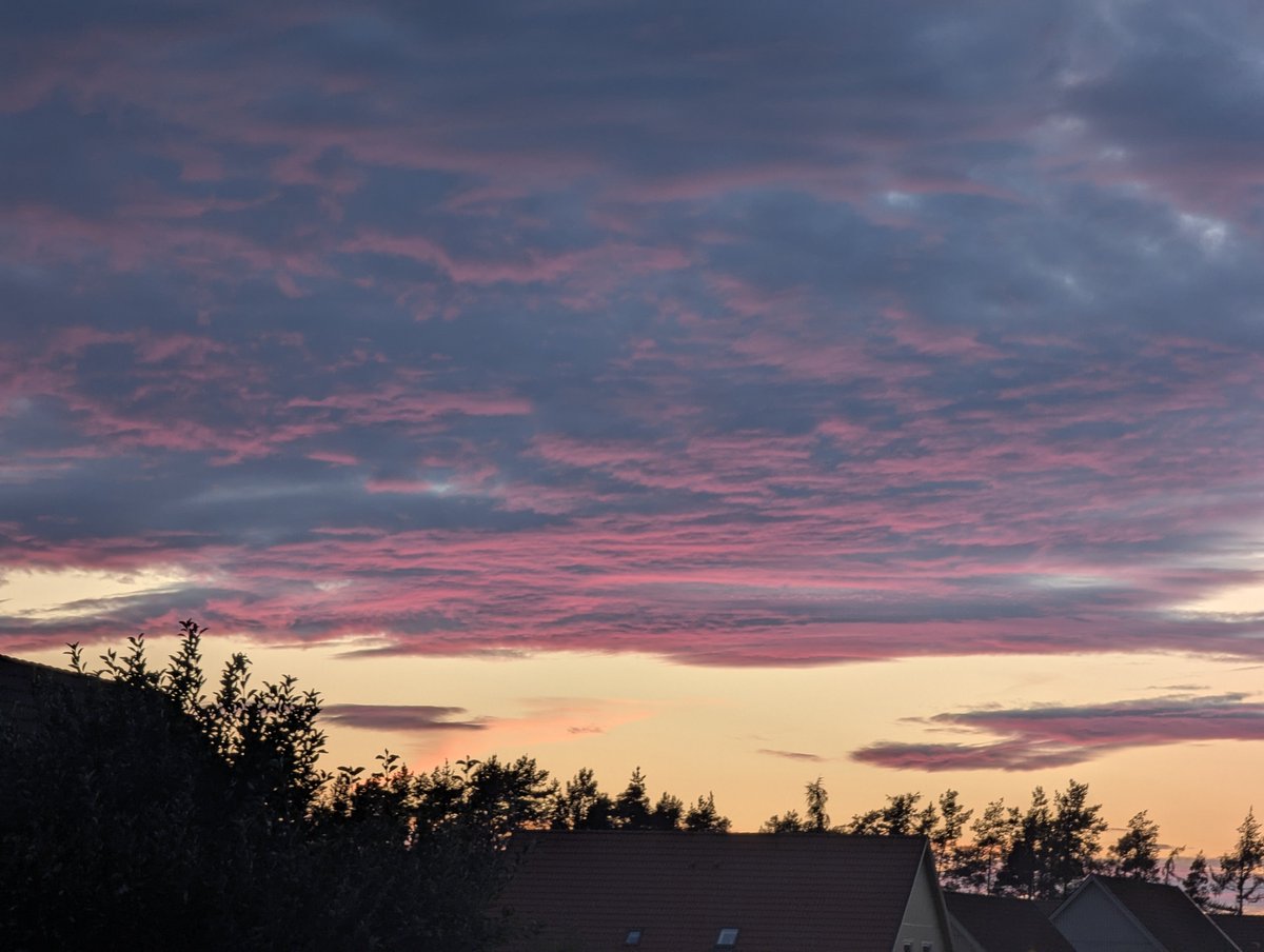 <a href="/cullenndungu/">Cullen Ndungu</a>