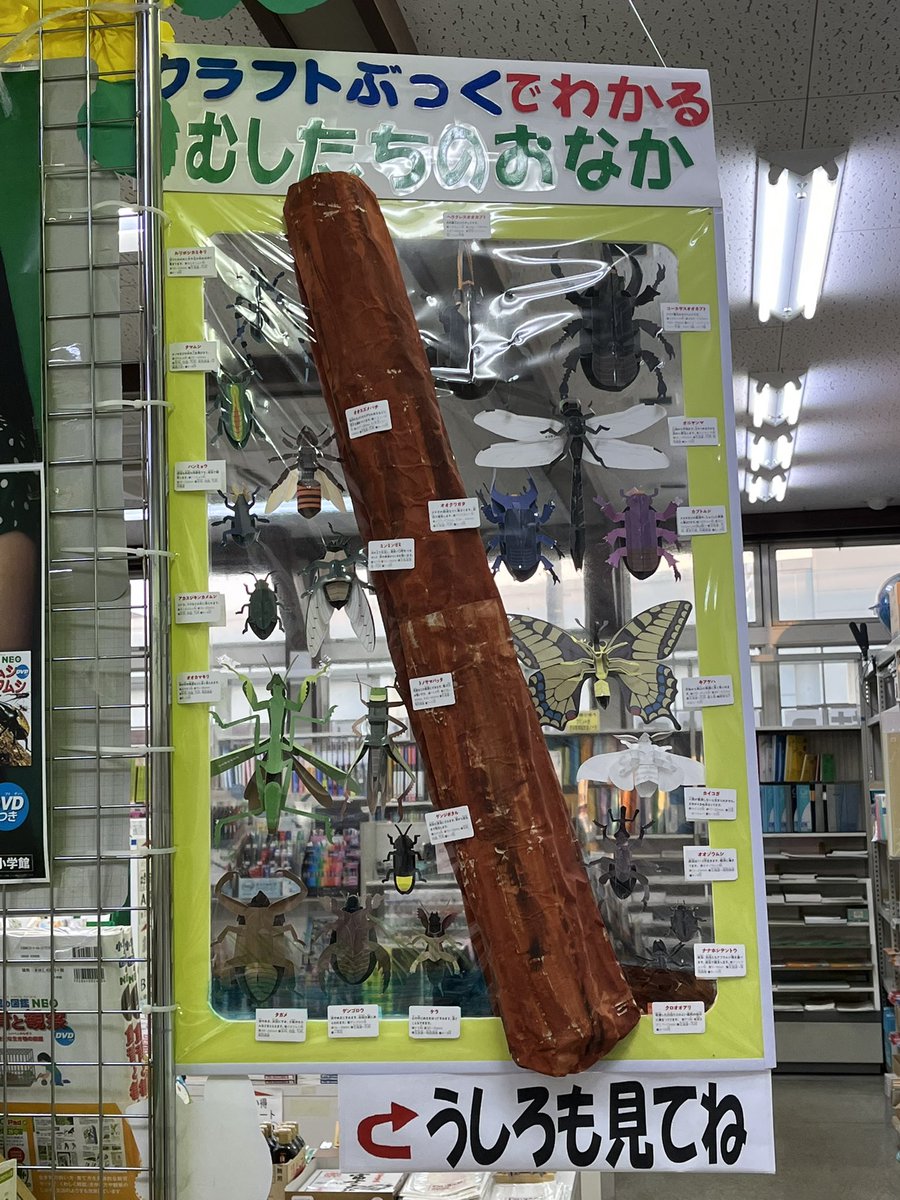図鑑　NEO 14冊セット　バラ売り無し 図鑑 NEO 14冊セット バラ売り無し - メルカリ
