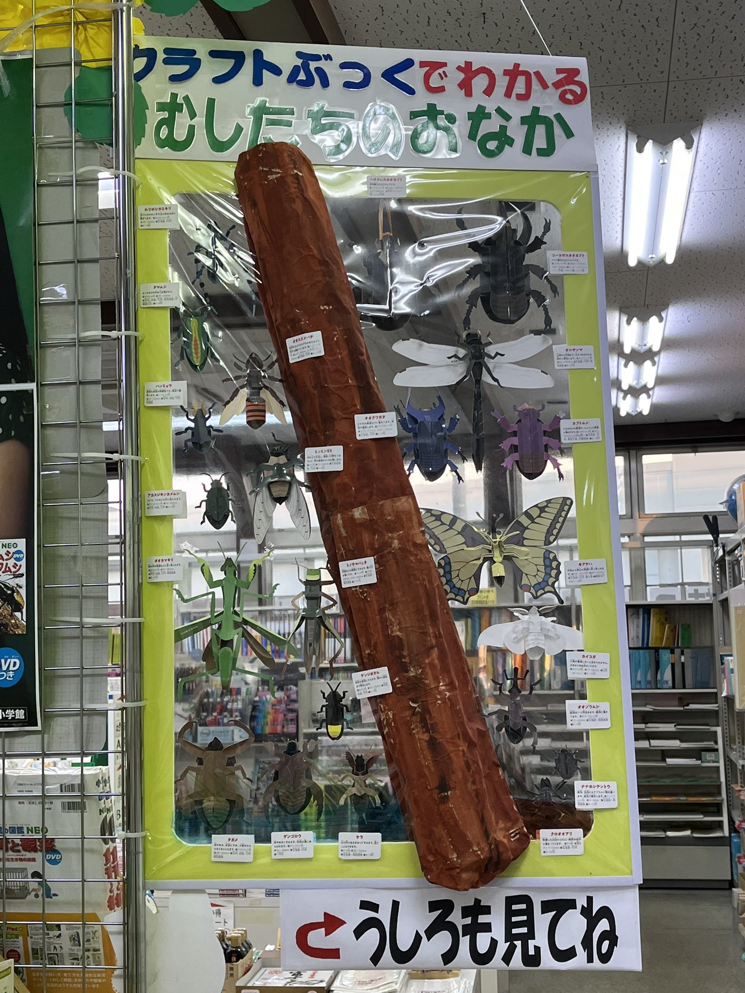 図鑑　NEO　１５冊　【使用少ないです】 13640-2674-