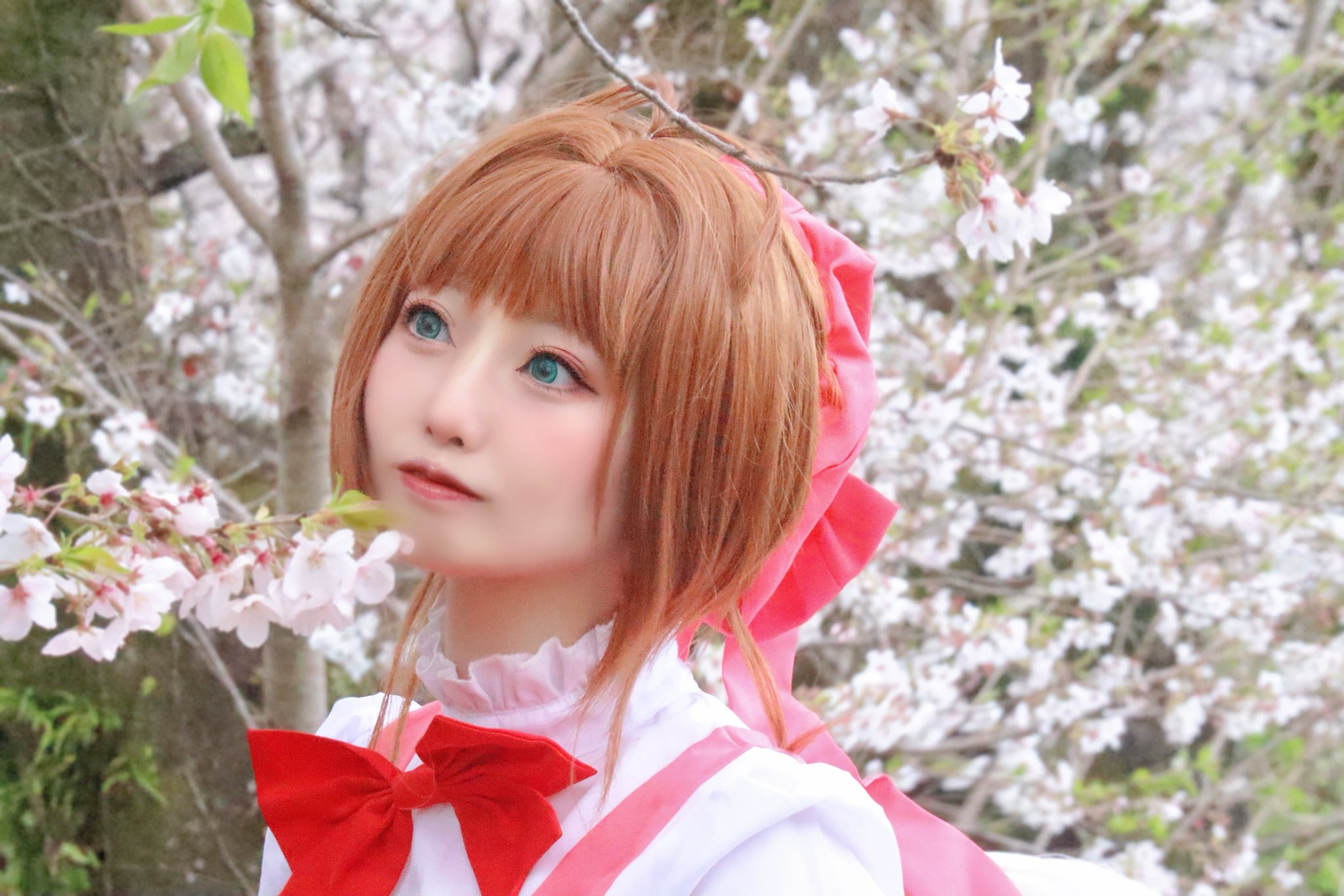 実写版コスプレ G-taste カード 4パック 未開封 株式会社講談社 蓮叶nextインテ on X: 
