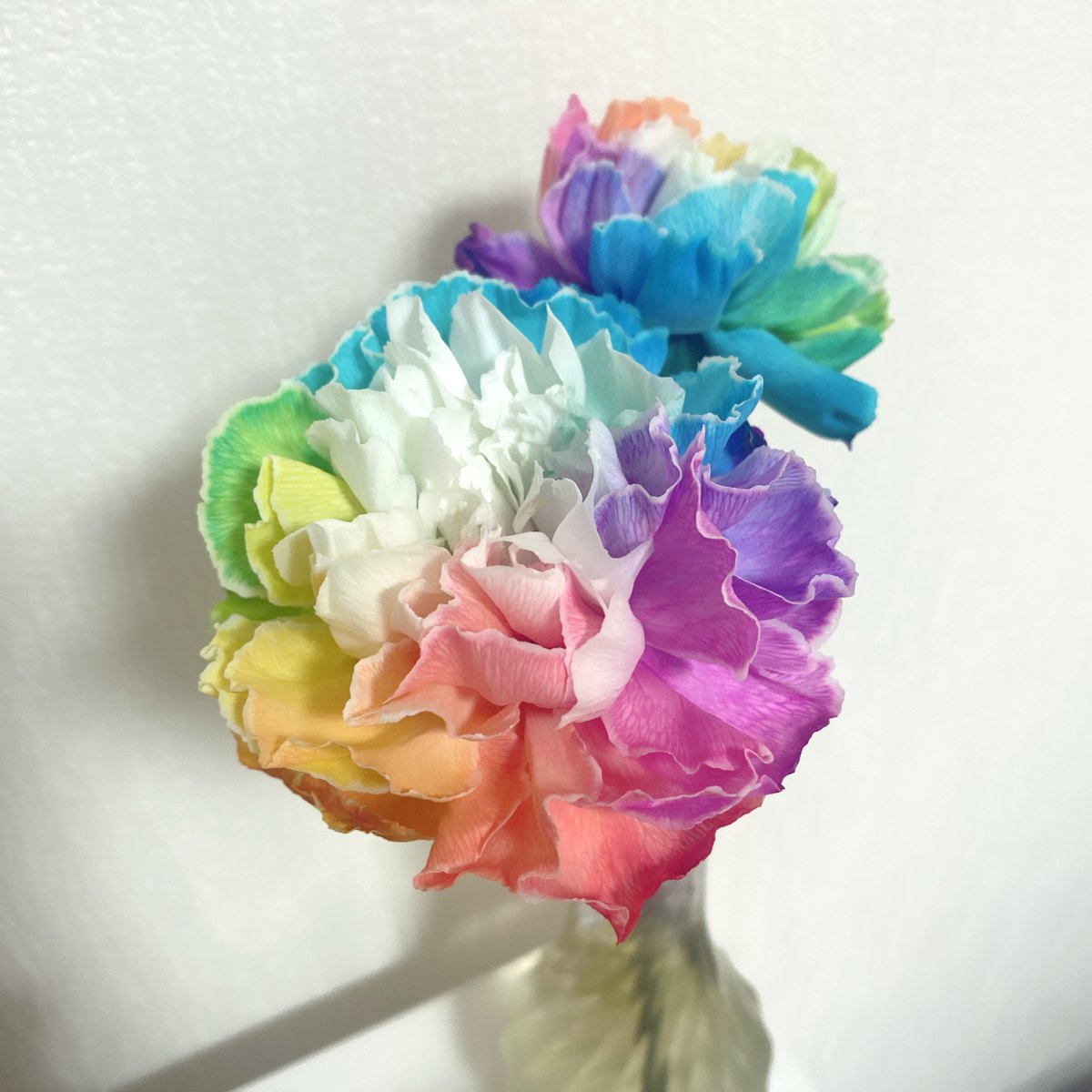 お疲れさマジカル〜✨

久しぶりの投稿なので
心癒されそうなレインボーのお花を置いておきます💐
色が凄すぎてずっと眺めてしまう中の人です...♪

明日もよろしくお願いいたします(*ˊᵕˋo💐o

#企業公式がお疲れ様を言い合う
#企業公式相互フォロー祭り