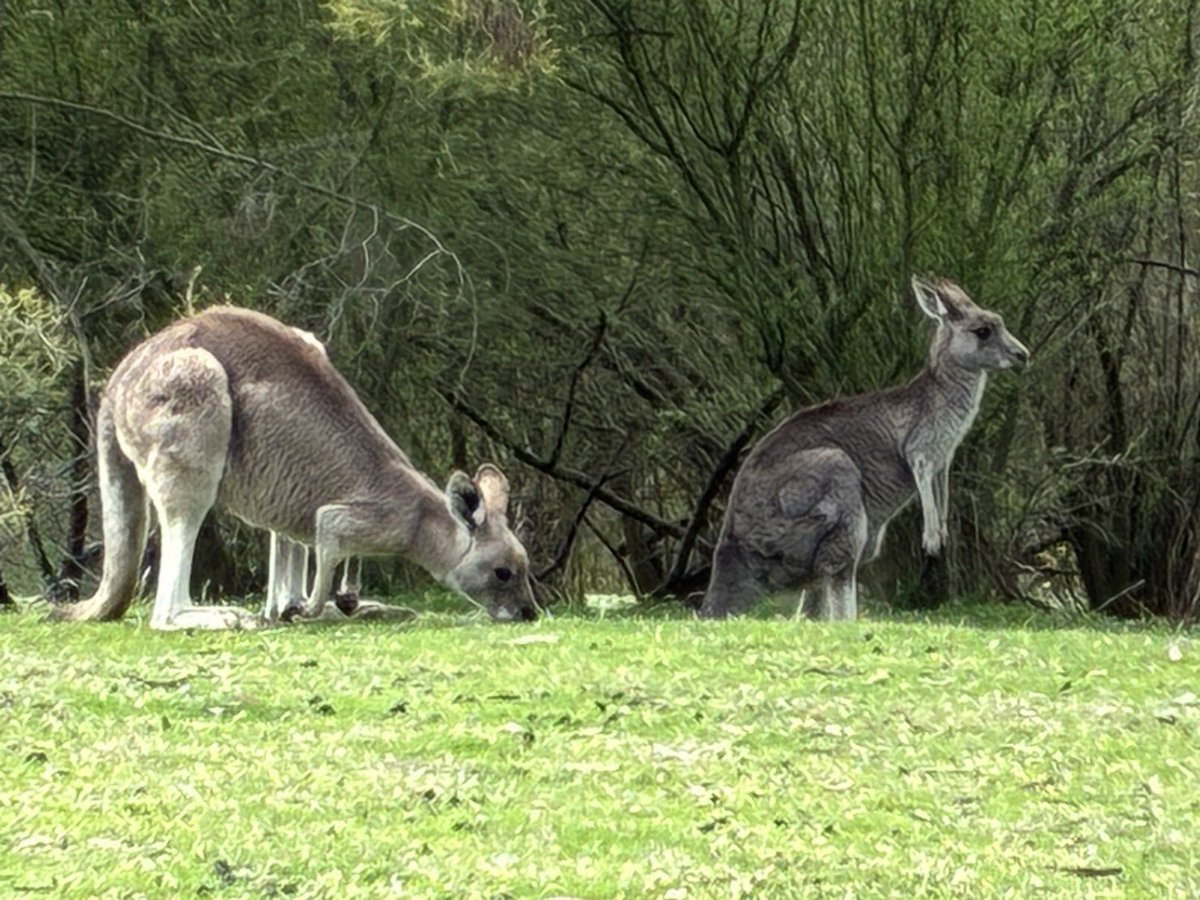 Refreshed - a weekend with my parents. Melbourne has lots to offer!