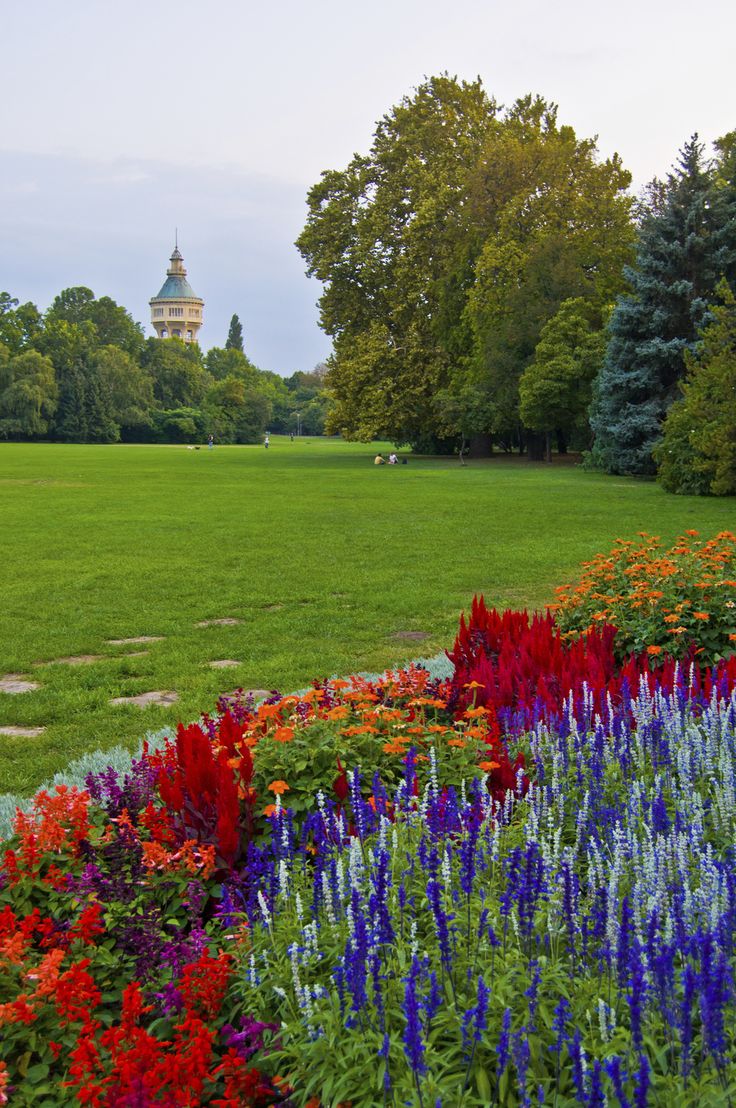 Nature Pics (@naturepicsc) on Twitter photo 